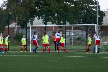 Bild 123 - C-Juniorinnen HSV - Walddoerfer : Ergebnis: 9:1